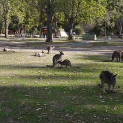 Wären da nicht die Nachbarn....