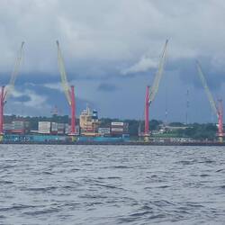 Kräne aus Deutschland