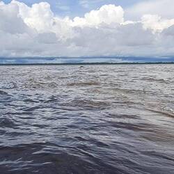 Zusammenfluss vom braunen Rio Solimões mit dem schwarzen Rio Negro.