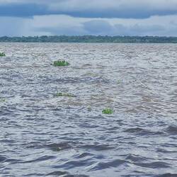 Unterschiede in Temperatur, Sedimente, Dichte ...