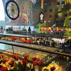 Ein Blick in die Markthalle