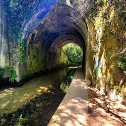 Walking through tunnels along a creek is enchanting.