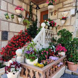 Potted flowers on doorsteps are gorgeous here.