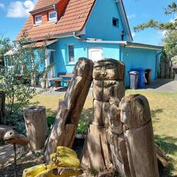 Häuser hinterm Deich., jedes sieht anders aus. Dieses hier mit "spezial" Zaungästen