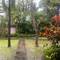 View from my terrace