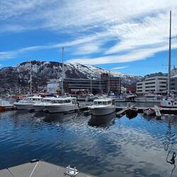 Der Hafen