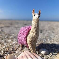 Mini-Kurt 🦙 mit 🐚