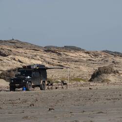 ...eher unser Terrain, einsam am Strand