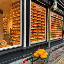 Käse darf auf einer Hollandreise nicht fehlen