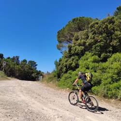 Klanci se kar ne nehajo.