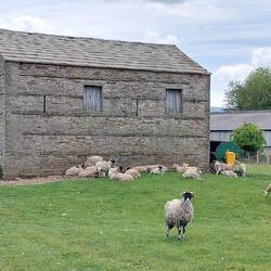 Haxew; Meadowland barn near the village