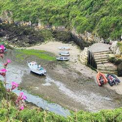 wieder mal Ebbe im Hafen