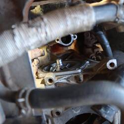 ...und dann hineingefummelt