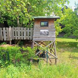 Foto: Wohnhaus des Ortsschäfers der Domäne, aufgenommen ca. 1957