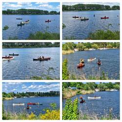 Nach 15 Minuten vollsten Einsatzes steht der Sieger fest 🐕