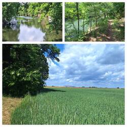 Canadierfahrer auf dem Altkanal, unten Blick auf den Kalimandscharo