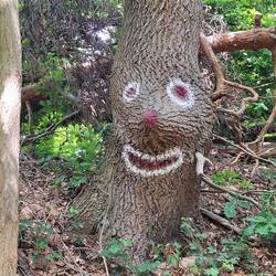 Der freundliche Kollege im Wald