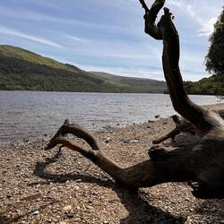 Loch Lomond