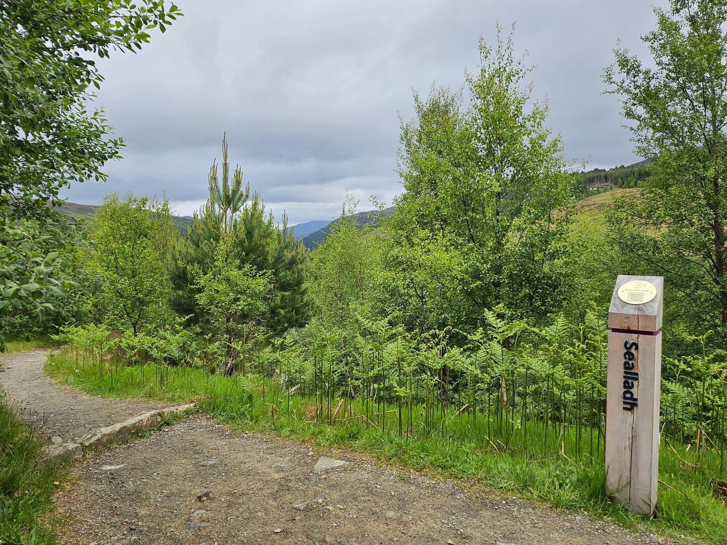 Paaltje van de paarse route.