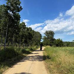 Hier verlief vermutlich früher einmal wieder eine Eisenbahn.