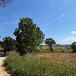 mittlerweile die Vegetation gewandelt hat.