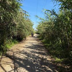 gekauf. Mit der Handpumpe von uns ist das nicht möglich. Die elektrische Pumpe geht bis 8,2Bar.