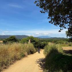 Wenn man die Bilder vor Valencia mit den heutigen vergleicht, erkennt man ganz gut wie stark sich -