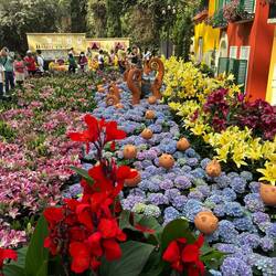 Flower Dome