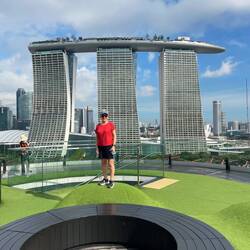 Top of the Supertree at Gardens on the Bay