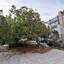 Tolle Gartenplanung ebenfalls 🫶❤️