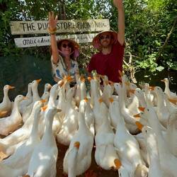 Once a duck leader, always a duck leader