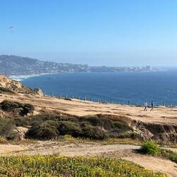Torrey Pines mit Sicht auf La Jolla Cove