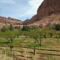 Obstgärten überall😊🍎🍒🍑