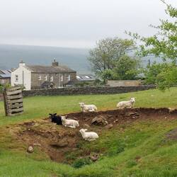 View back to Burtersett from Shaw's Lane