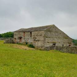 Old field barn