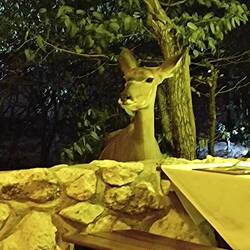 Da hat wohl jemand Hunger