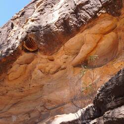 Und darüber ein Bienenstock in der Felswand.