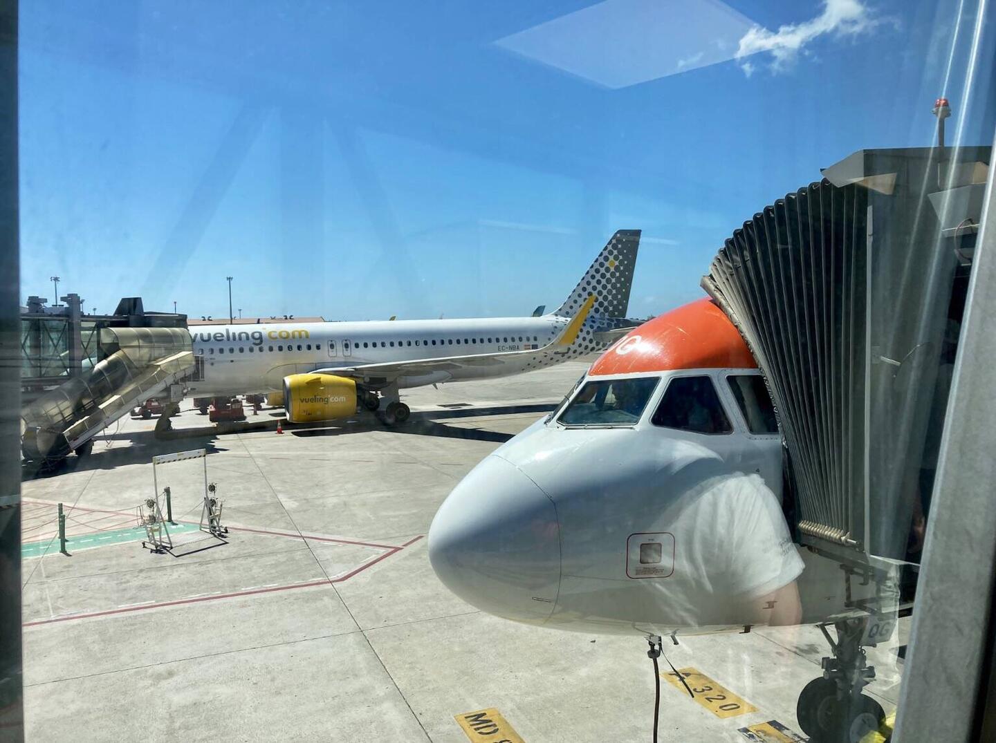 Flugi wird gefüttert