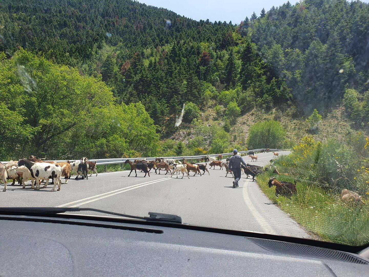 This was a good part of the road