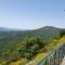 Stemnitsa is the starting point of the Melanon trail. We just enjoyed the scenery.