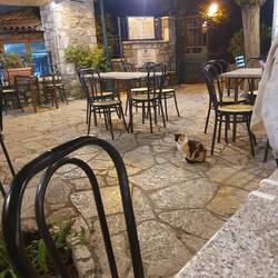 Just us and the cat in the village square having a beer. 12 degrees, we had dinner inside.