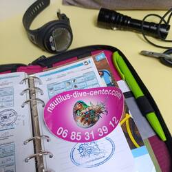 Und natürlich passen die Sticker zum Logbuch 🩷