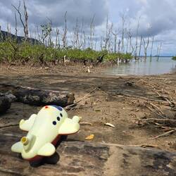 Wär isch äch hie gstrandet?...