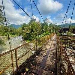 Un pont trop mignon aussi bancal qu'au Laos, même pas peur 😅