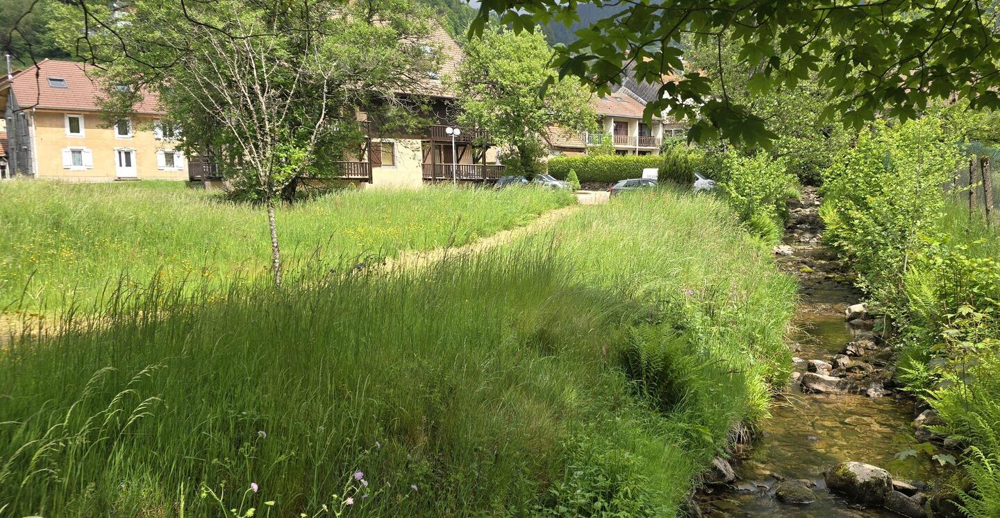 Lovely stream winding through the village
