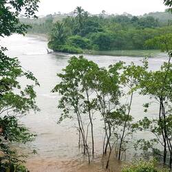 The mouth of a small river in the Pacific.