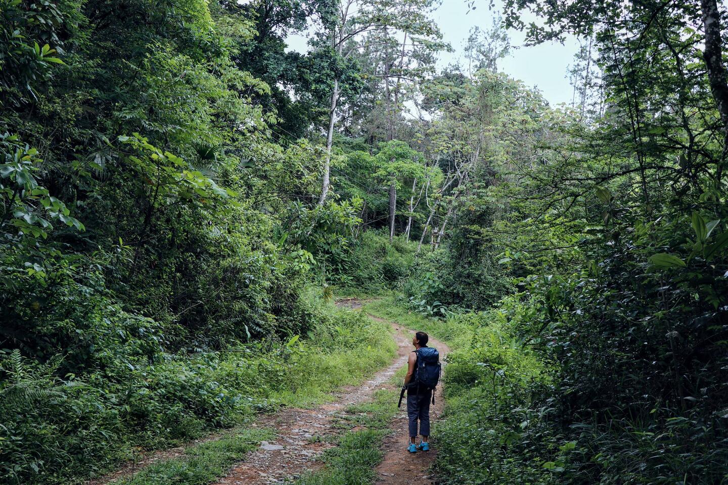 Nature walks near Santa Fe.