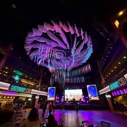 Bonnie "cutting a rug!"