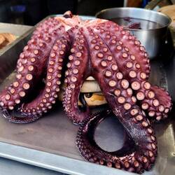 I can't eat this anymore after seeing the film "My Friend the Octopus".