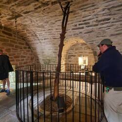 The holly tree the castle was built around